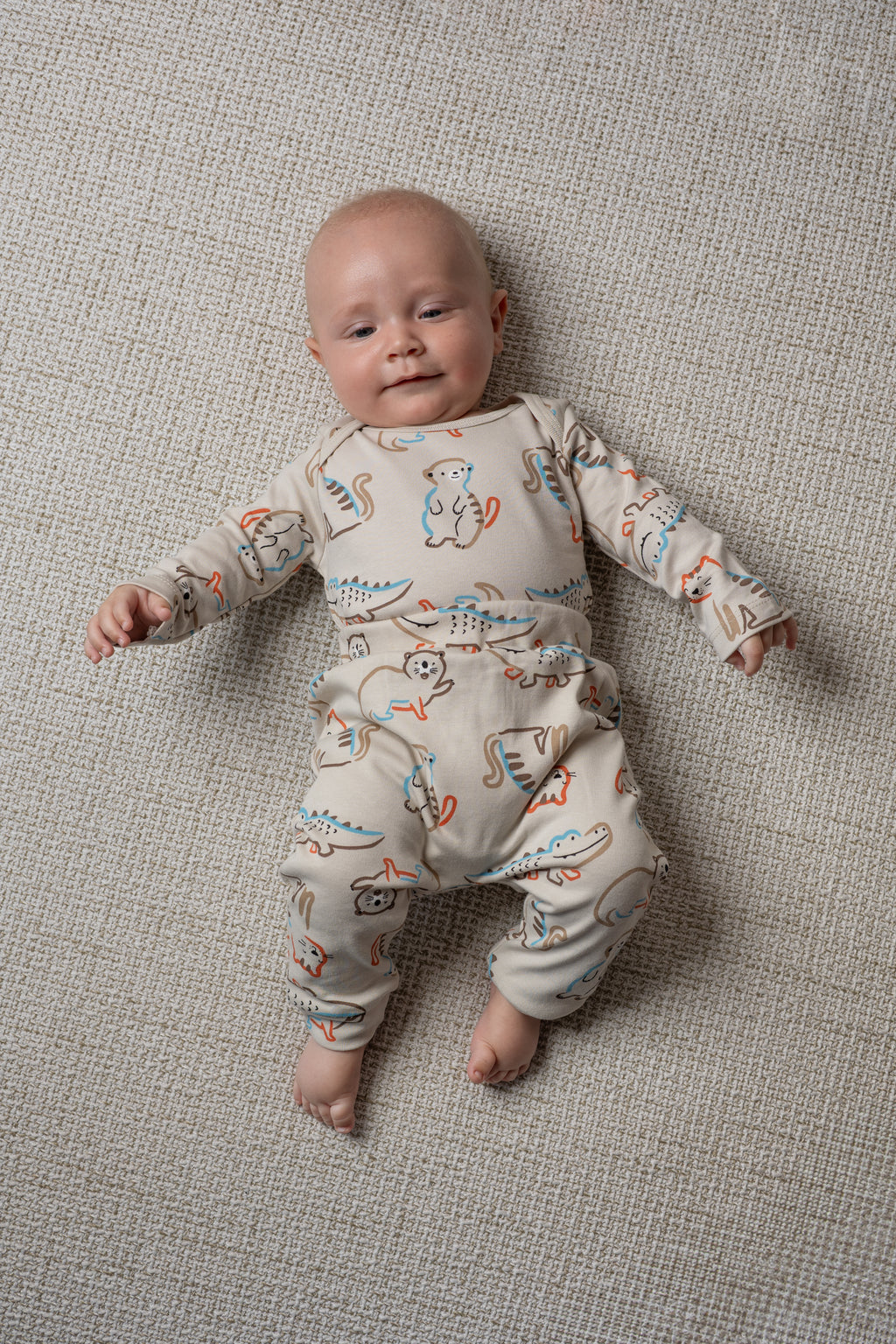 Little Safari set